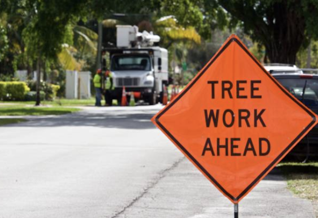 tree removal Mokena il